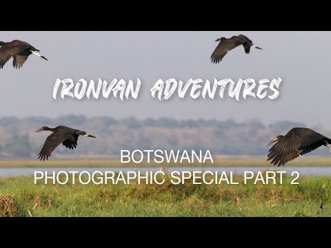 Botswana Magic! Ep 2 Khwai River - "Ironvan" Adventures with Ironman 4x4