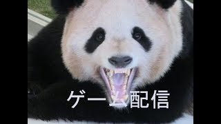 【初めての配信（ドキドキ）】アビスロード実況！？
