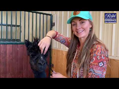 Amber Marshall:  A Day in Her life
