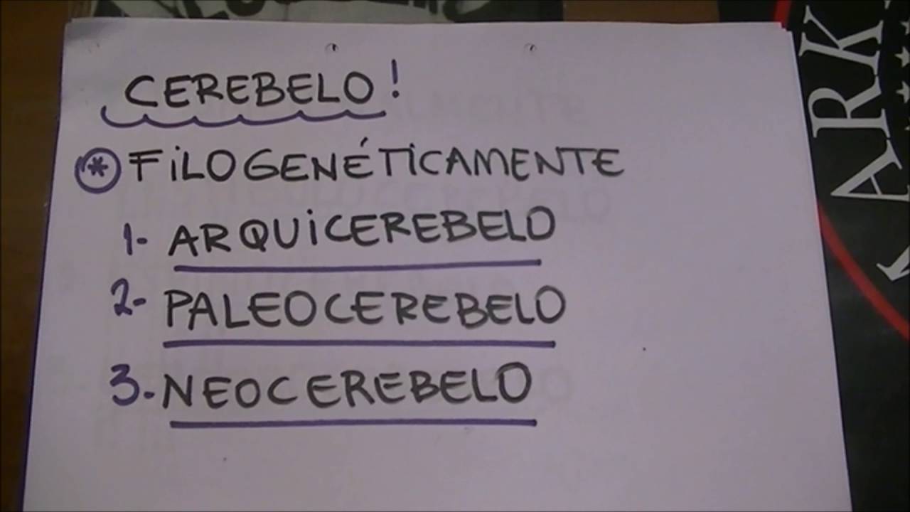 Motor II + Cerebelo