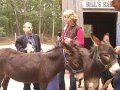 Meet Your Local Farmer Donkey Therapy