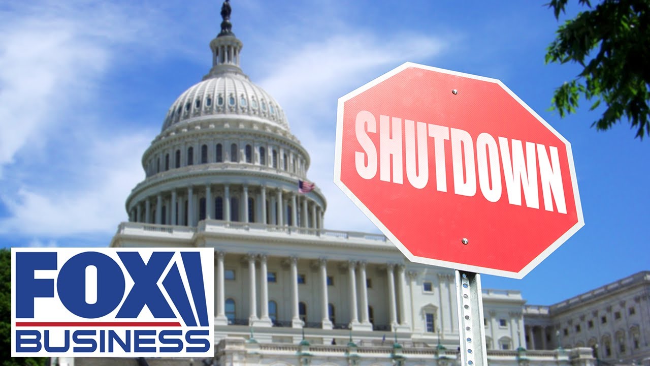 ‘ONE OF THE FEW LEVERAGED TIMES WE HAVE’: Dem admits political calculus amid shutdown