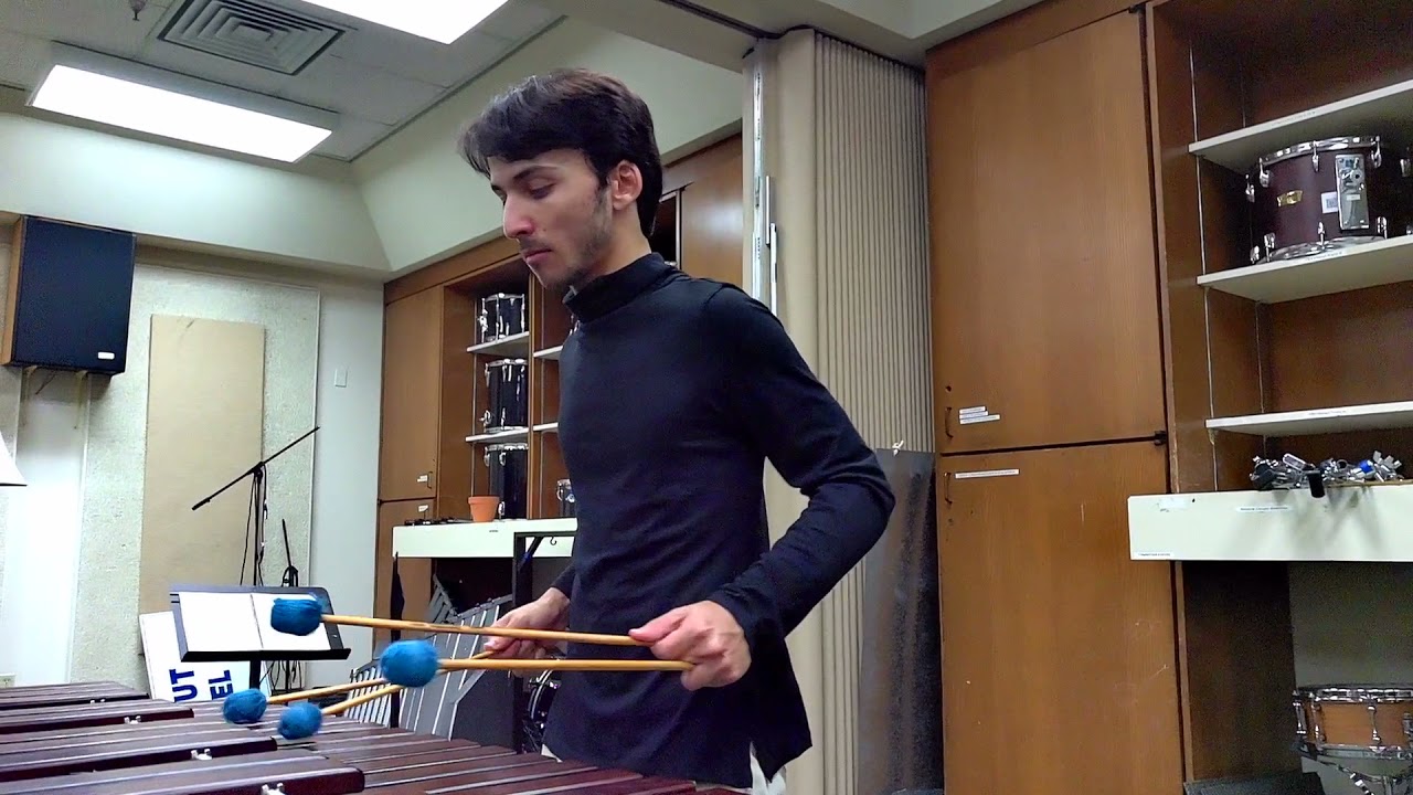 Promotional video thumbnail 2 for Daniel Gostein - Marimba