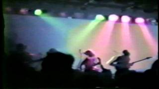 Butthole Surfers (New York 1987) [13]. 22 Going On 23