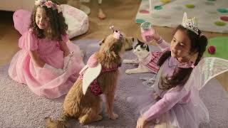 PetSmart Hill's October Offer