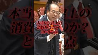 参政党・安藤裕「国民が払っていると勘違いしている消費税を指摘」