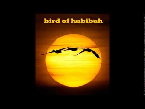 Bird of habibaH - Swing of the geese (2011)