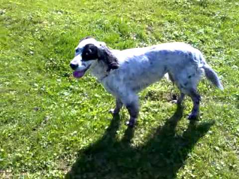 Lilleulven å saika mor ♥