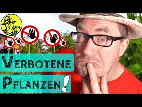 , title : 'Verbotene Pflanzen im Garten legal anbauen - ein Selbstversuch'
