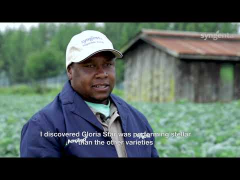 Syngenta vFOI Highlight Big Six Grower Testimonial