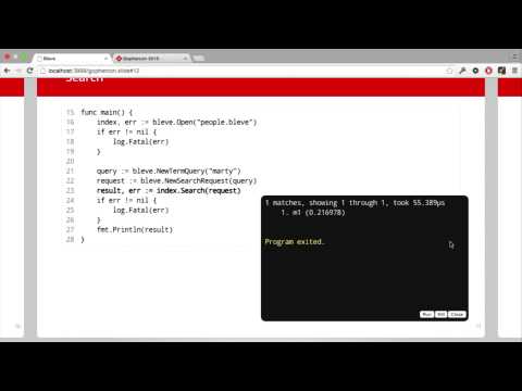 GopherCon 2015: Bleve: Full-Text Indexing and Search for Go - Marty Schoch