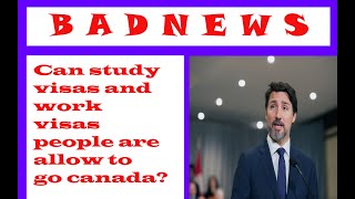 Can Work Visa and Study Visa Holders go to Canada Now?