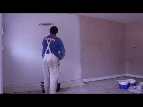 Top tips for painting new plaster walls with emulsion paint ( water based ).