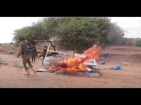 DEGMADA DAAFEET OO ISBAAROOYINKII DHEX YAALEY DHAMAANTOOD LAGA QAADEY