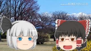 妖夢と霊夢の茶番劇