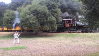 Great Train Robberies:: Roaring Camp Railroads