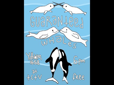 YDHWM 1658 Guaranteed Whales 150403