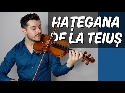 HAȚEGANA DE LA TEIUȘ