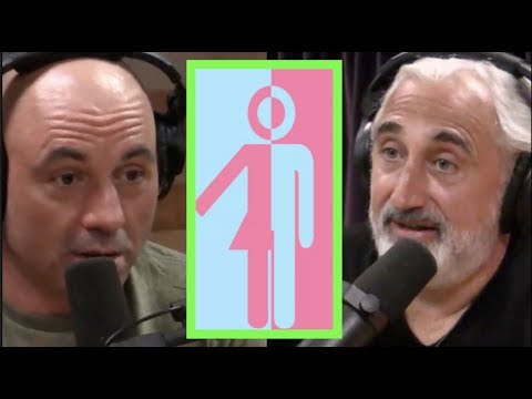 Joe Rogan a Gad Saad na téma gender