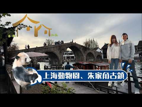 20260405-0410︱上海動物園、朱家角古鎮、上海新天地︱魔都上海6日DAY2，一定要有的親子行程&ndash;上海動物園！熊貓好可愛～小橋流水江南風情，朱家角古鎮好美呀～