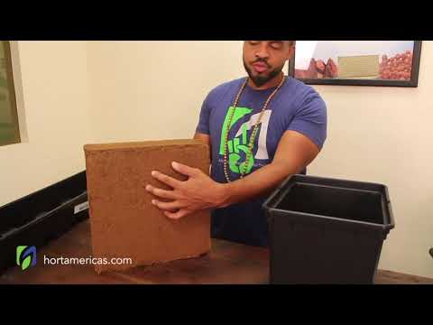 Dutch buckets and coco coir block for hydroponic production system