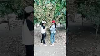 preview picture of video 'Vườn dâu đồng nai chín vàng cây'