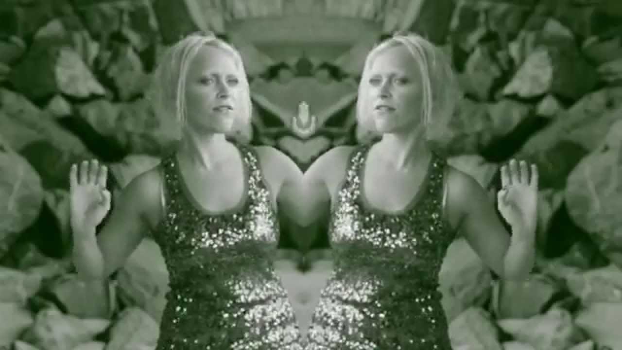 Promotional video thumbnail 1 for Monik