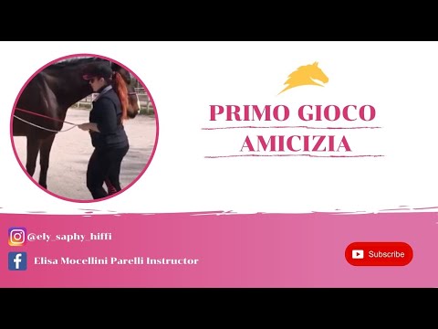 1° GIOCO PARELLI | IL GIOCO DELL'AMICIZIA | ELISA MOCELLINI