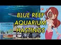 Blue Reef Aquarium Hastings Walk Round April 2023