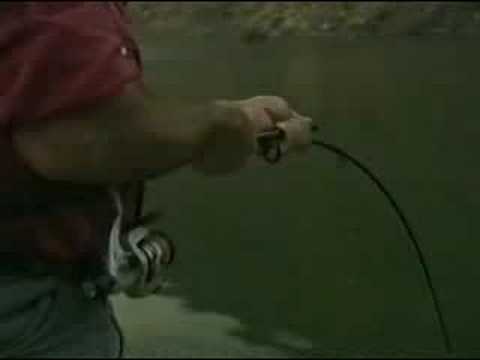 Go Fishing - Mega Catfish