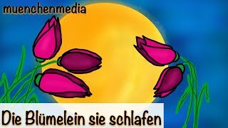 Die Blümelein sie schlafen - Kinderlieder deutsch | Schlaflieder | Baby Schlafmusik - muenchenmedia
