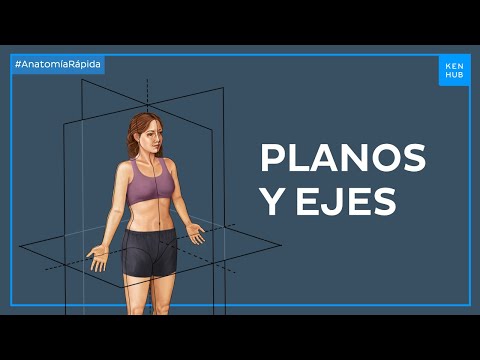 Planos y ejes corporales - Anatomía Fácil | Kenhub