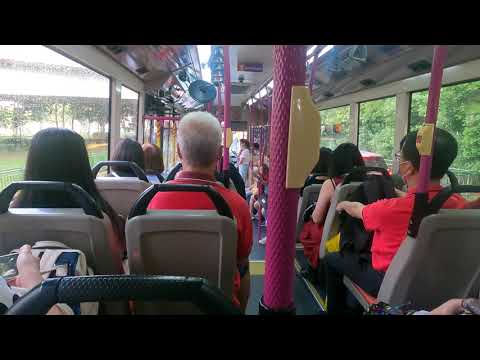 17 Aug 2021 Bus 142 Scene