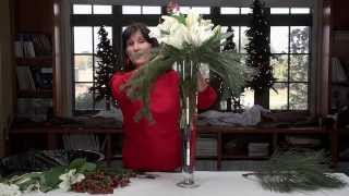 preview picture of video 'Diana Ryan -  Winter Holiday Floral Arrangements'