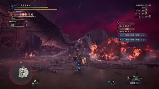 MHW　IB　81