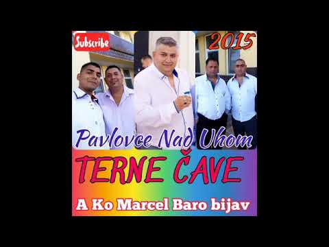 PAVLOVCE TERNE CAVE 55 - BARO BIJAV   2015