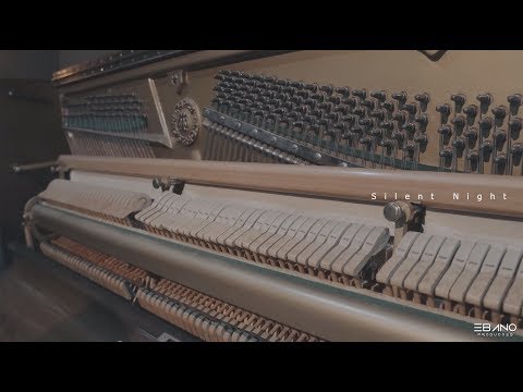 Coral Ébano - Silent Night