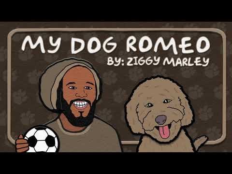 Video thumbnail for My Dog Romeo