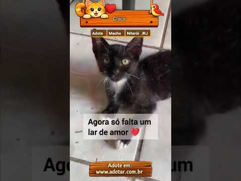 Vídeo de Chico