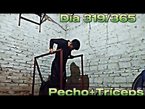 Día 319/365 Pecho+Tríceps