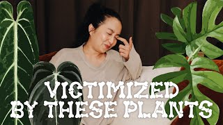10 plants I would NEVER own again