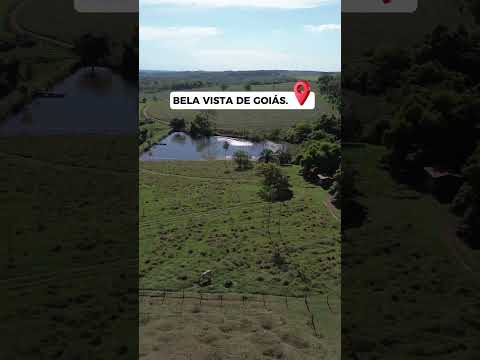 Chacara em Bela Vista de Goias contato 62994647454.