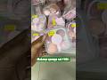 D Mart Latest Kitchen Items D Mart Clearance Sale Dmart Affordablefinds Youtubeshorts Shorts