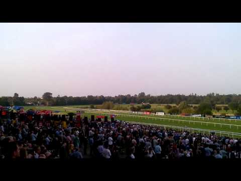The Grey Gatsby Vs Australia Irish Champions Stakes 2014.