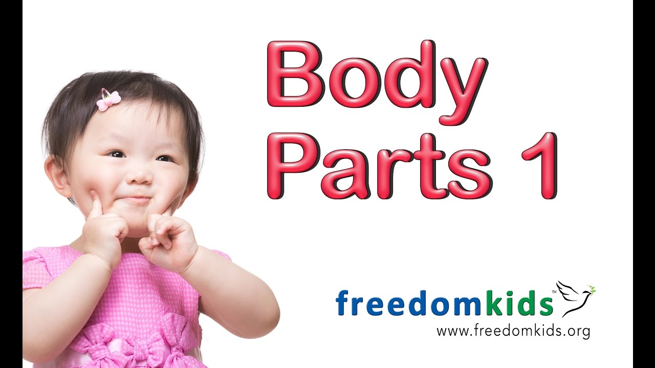 BODY PARTS Part 1 |  Freedom Kids