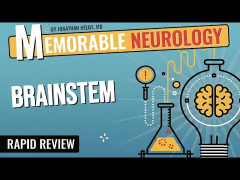Brainstem (Midbrain, Pons, and Medulla) Mnemonics (Memorable Neurology Lecture 7)
