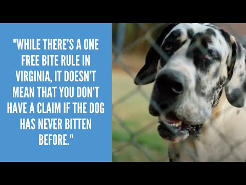 Dog Bite Cases in Virginia | Richmond Personal Injury Attorneys Blank & Marcus