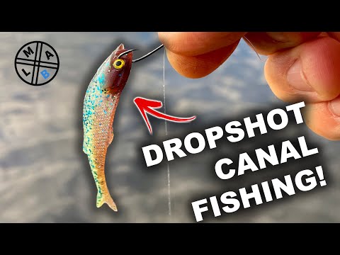 Dropshot Fishing for Canal Perch!