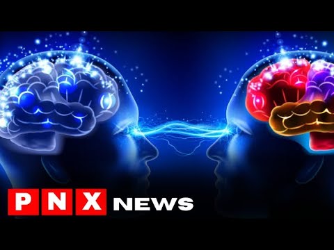 How two brains can synchronise and why it matters - PNX News