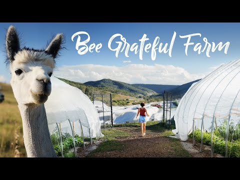 Organic Farm at 7,000ft + Alpacas, Caramel Candy, and a Onewheel!